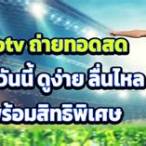 ถ่ายทอดสด pptv วันนี้